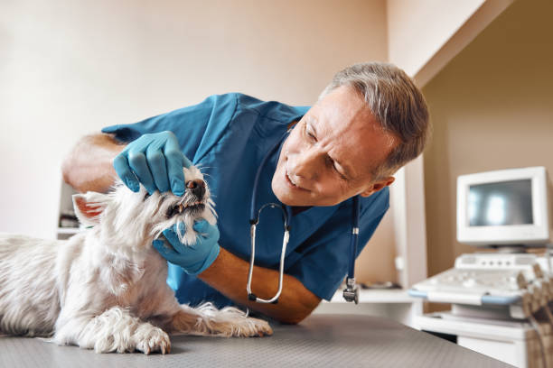 Best Weekend Emergency Dentist in Thomasville, NC